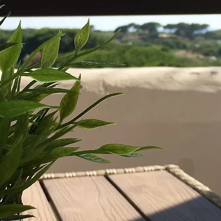Laduana Lacarmen&lapepa Apartamento Rota